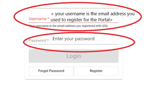 Portal login screen